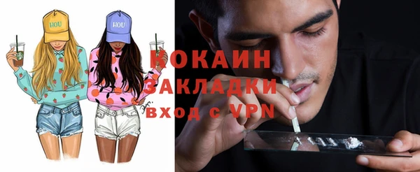 молекула духа Богородск