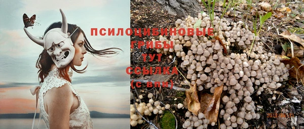 стафф Белоозёрский