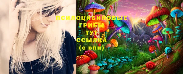 стафф Белоозёрский