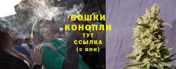 молекула духа Богородск