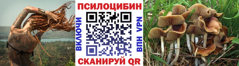 mega как зайти  Бирск  Псилоцибиновые грибы прущие грибы 