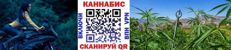 где купить наркоту Бирск Канабис Amnesia